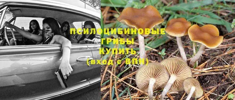 ссылка на мегу сайт  Дудинка  Галлюциногенные грибы MAGIC MUSHROOMS 